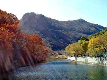 管家婆黑白马报图库，巫山seo培训